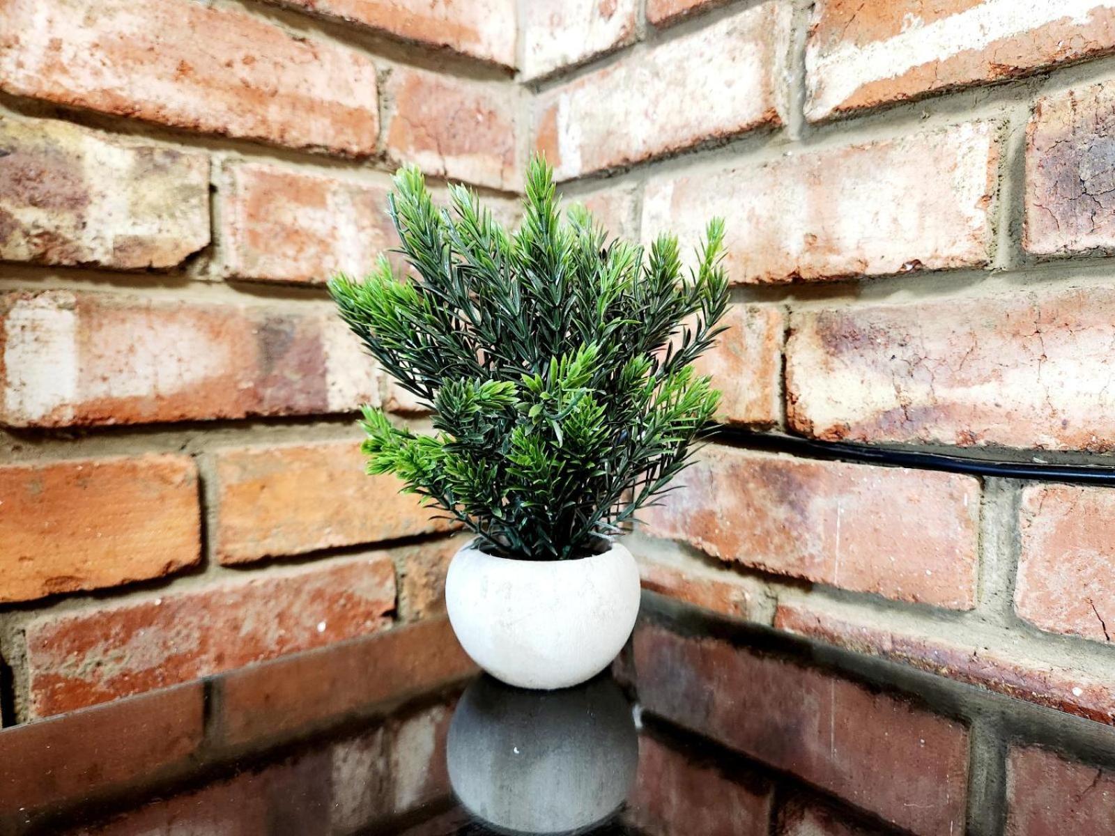 Aloe Guesthouse Клерксдорп Номер фото